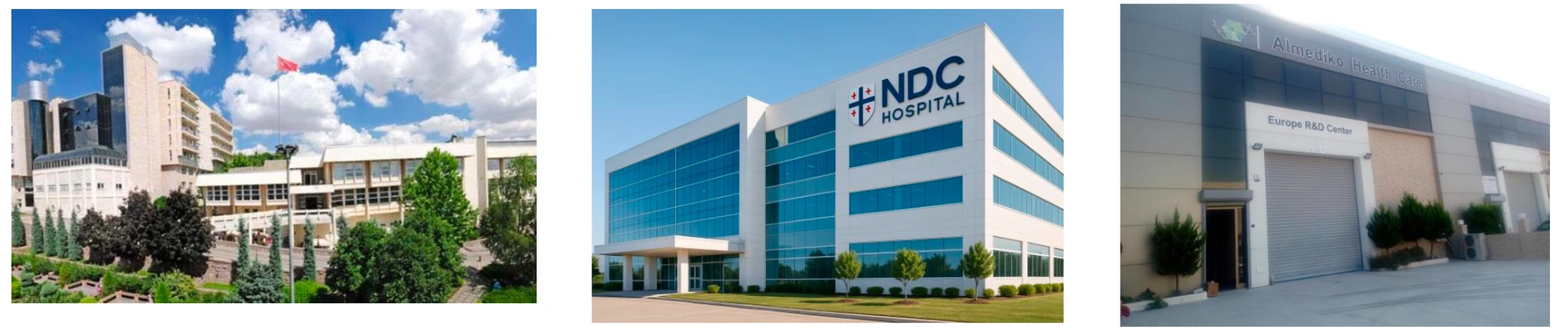 Hacettepe Üniversitesi, NDC Hospital ve Almediko Health Care Europe R&D Center